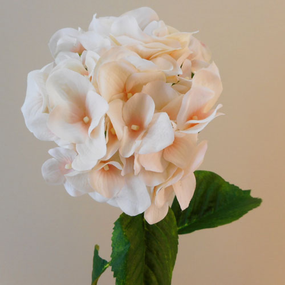 Anastasia Artificial Hydrangea Peach 75cm Artificial Flowers